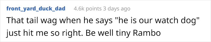 Puppy Rescued By Ukrainian Soldiers Becomes A Trusty Watchdog Puppy Rescued By Ukrainian Soldiers Becomes A Trusty Watchdog