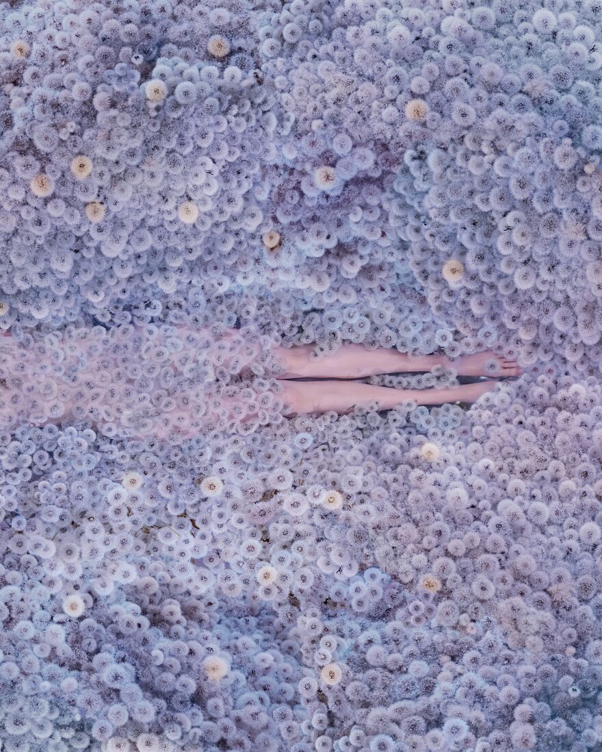 Dandelions And Bubbles Like Dreams In Lockdown