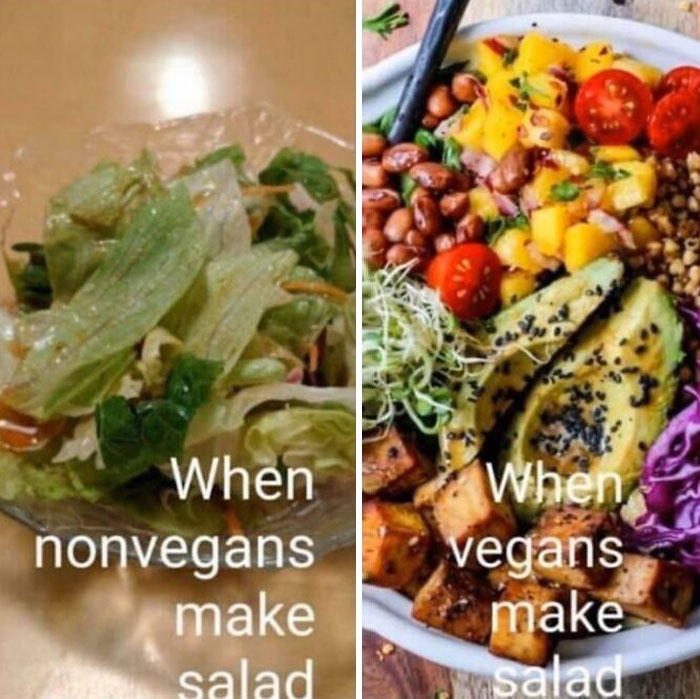 Non Vegans Cant Make Salads