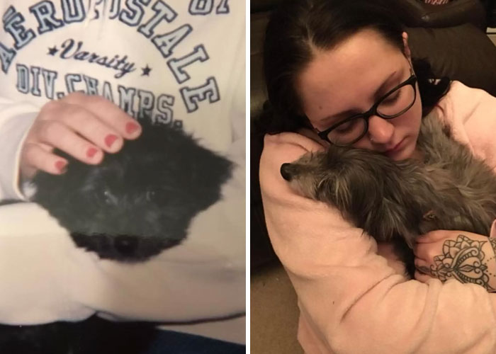 Esta mujer adoptó un perro anciando de un refugio y descubre que es en realidad el cachorro que perdió en su infancia