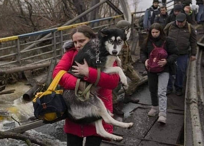 Woman Carries And Comforts Cat Amid Air Raid Sirens Sounding In Kyiv, Ukraine Woman Carries And Comforts Cat Amid Air Raid Sirens Sounding In Kyiv, Ukraine