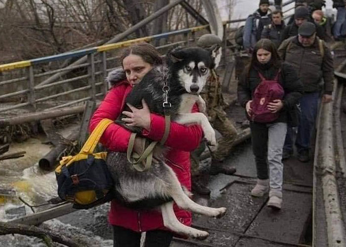 Woman Carries And Comforts Cat Amid Air Raid Sirens Sounding In Kyiv, Ukraine