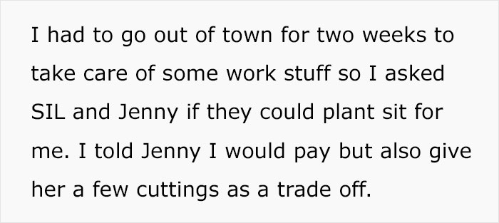 Woman Refuses To See Her Niece And Sister-In-Law After They Trim Her Houseplants And Sell The Cuttings On Marketplace Woman Refuses To See Her Niece And Sister-In-Law After They Trim Her Houseplants And Sell The Cuttings On Marketplace