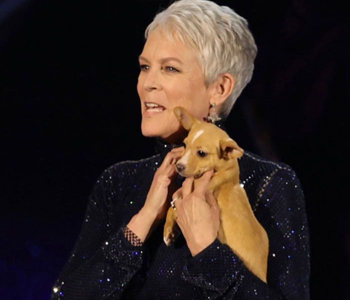 Puppy Named Mac N Cheese Wins Big At The Oscars As John Travolta Adopts Him After Betty White Tribute