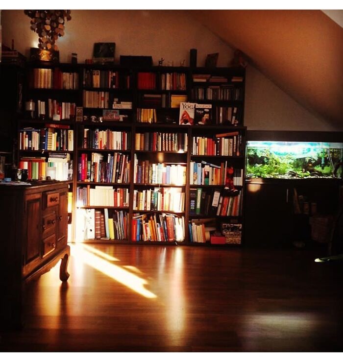 Light, Colours And Books