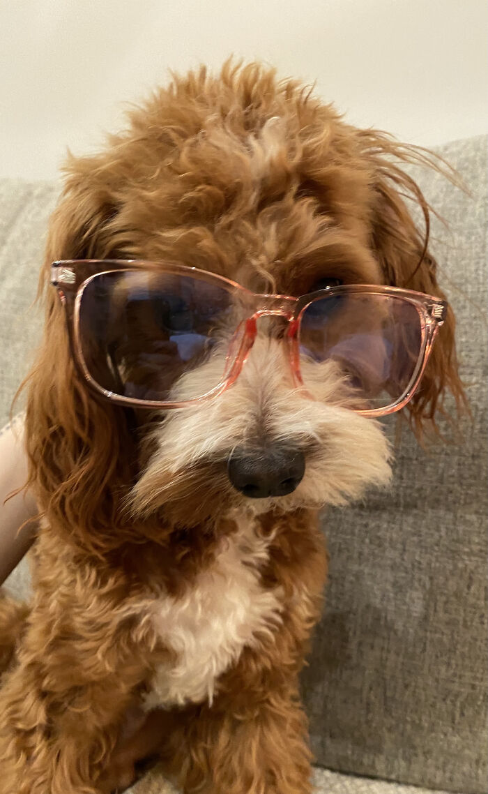 Shhh! Quiet In The Library, Children