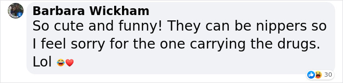 Video Captures The Tiniest Police Pup Doing Rounds Around An Airport, Amasses 9M Views Video Captures The Tiniest Police Pup Doing Rounds Around An Airport, Amasses 9M Views