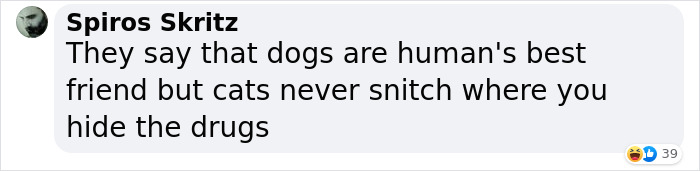 Video Captures The Tiniest Police Pup Doing Rounds Around An Airport, Amasses 9M Views Video Captures The Tiniest Police Pup Doing Rounds Around An Airport, Amasses 9M Views