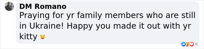 Famous Ukrainian Cat Stepan Flees With His Family, Finds Safety In France Famous Ukrainian Cat Stepan Flees With His Family, Finds Safety In France