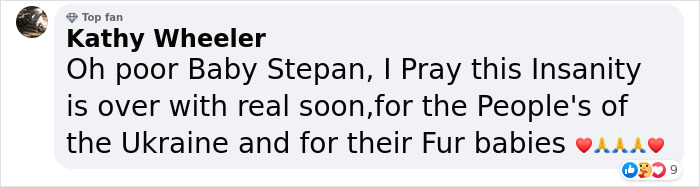 Famous Ukrainian Cat Stepan Flees With His Family, Finds Safety In France Famous Ukrainian Cat Stepan Flees With His Family, Finds Safety In France