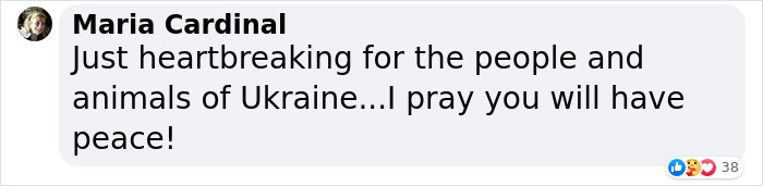 Famous Ukrainian Cat Stepan Flees With His Family, Finds Safety In France Famous Ukrainian Cat Stepan Flees With His Family, Finds Safety In France