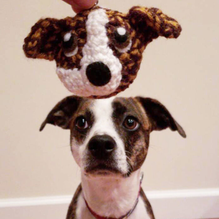 I Turn People's Dogs Into Smaller Crocheted Versions Of Them
