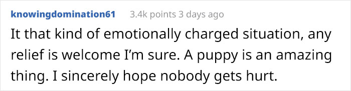 Puppy Rescued By Ukrainian Soldiers Becomes A Trusty Watchdog Puppy Rescued By Ukrainian Soldiers Becomes A Trusty Watchdog