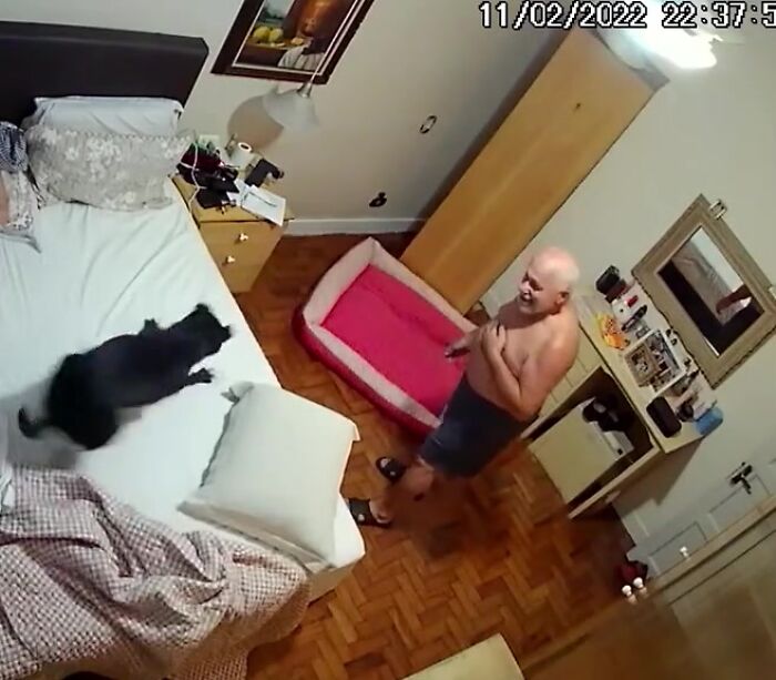 Home Camera Caught This Owner And Dog's Adorable Nighttime Routine, And The Video Of It Went Viral