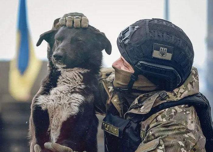 Woman Carries And Comforts Cat Amid Air Raid Sirens Sounding In Kyiv, Ukraine Woman Carries And Comforts Cat Amid Air Raid Sirens Sounding In Kyiv, Ukraine