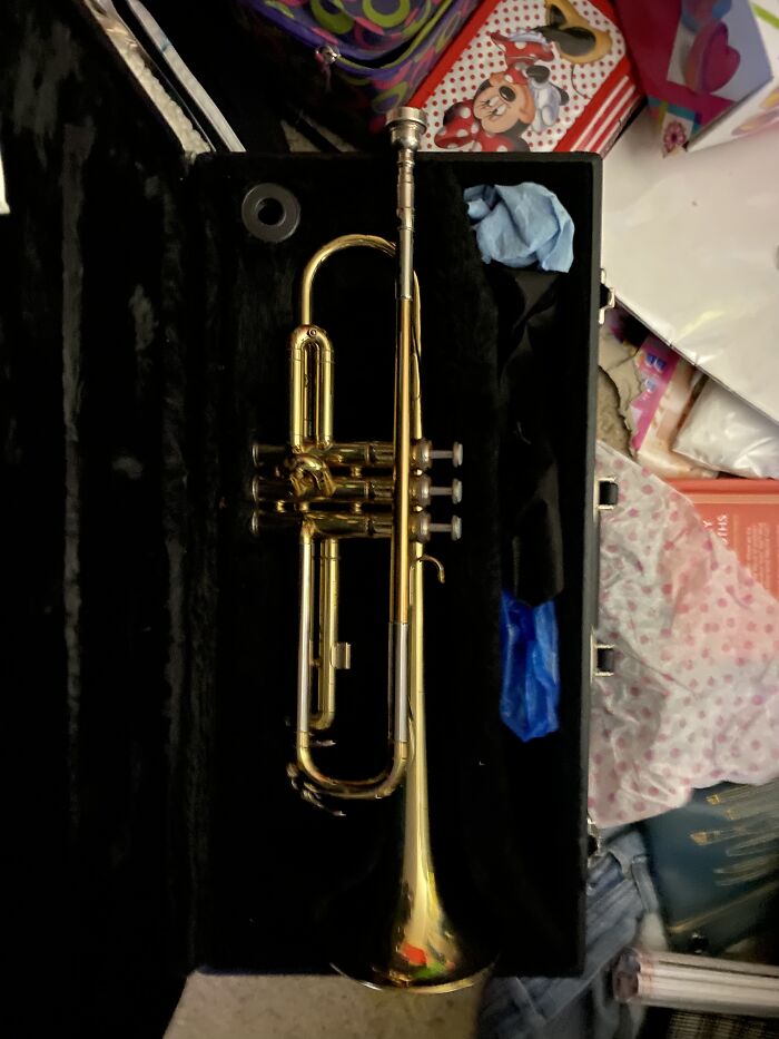 Sorry About The Mess But Here Is The Trumpet