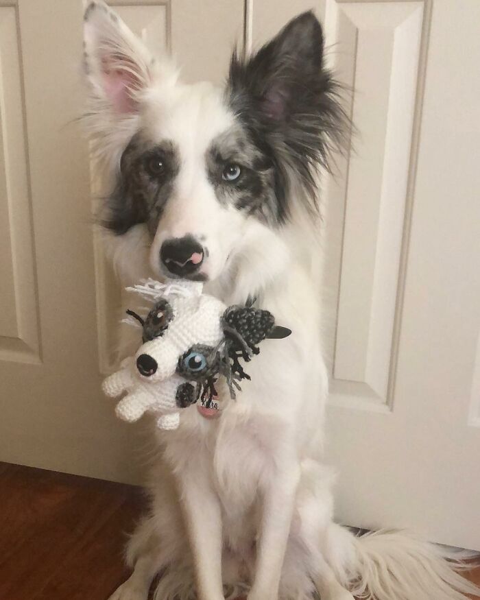 I Turn People's Dogs Into Smaller Crocheted Versions Of Them