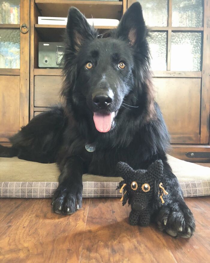 I Turn People's Dogs Into Smaller Crocheted Versions Of Them