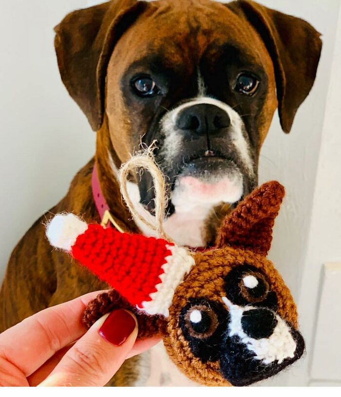I Turn People's Dogs Into Smaller Crocheted Versions Of Them