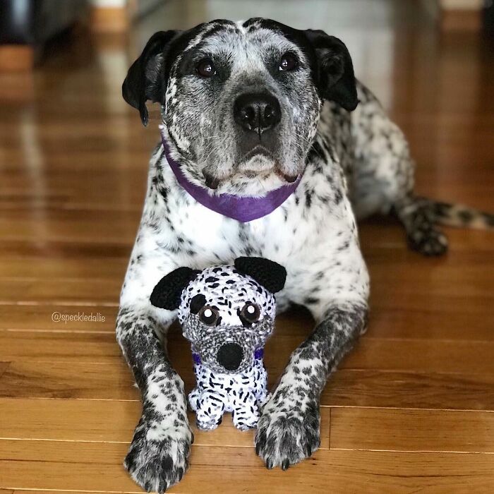 I Turn People's Dogs Into Smaller Crocheted Versions Of Them