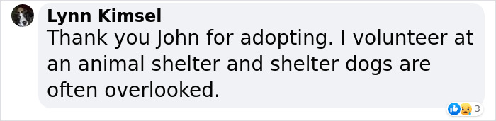 Puppy Named Mac N Cheese Wins Big At The Oscars As John Travolta Adopts Him After Betty White Tribute Puppy Named Mac N Cheese Wins Big At The Oscars As John Travolta Adopts Him After Betty White Tribute