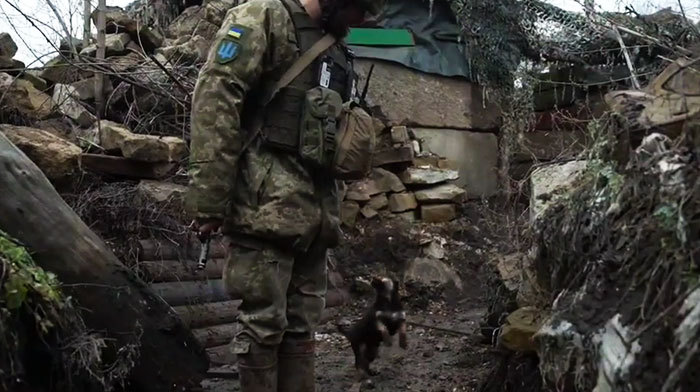 Este cachorro rescatado por soldados ucranianos se convierte en un fiel perro guardián