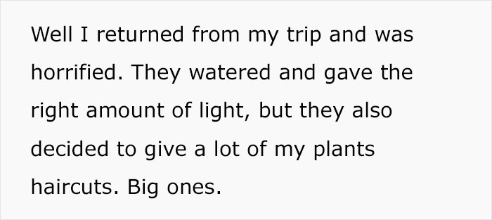 Woman Refuses To See Her Niece And Sister-In-Law After They Trim Her Houseplants And Sell The Cuttings On Marketplace Woman Refuses To See Her Niece And Sister-In-Law After They Trim Her Houseplants And Sell The Cuttings On Marketplace