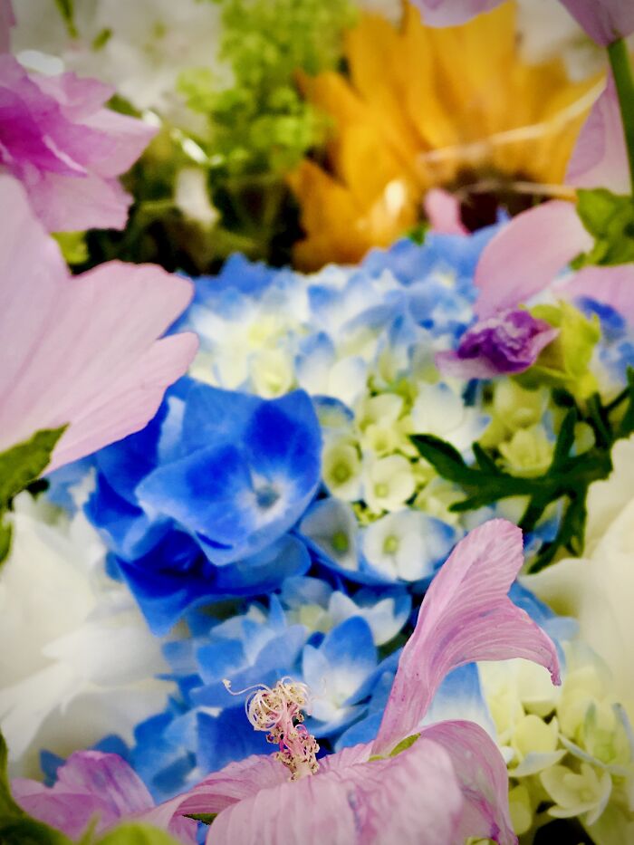 I Stand With Ukraine