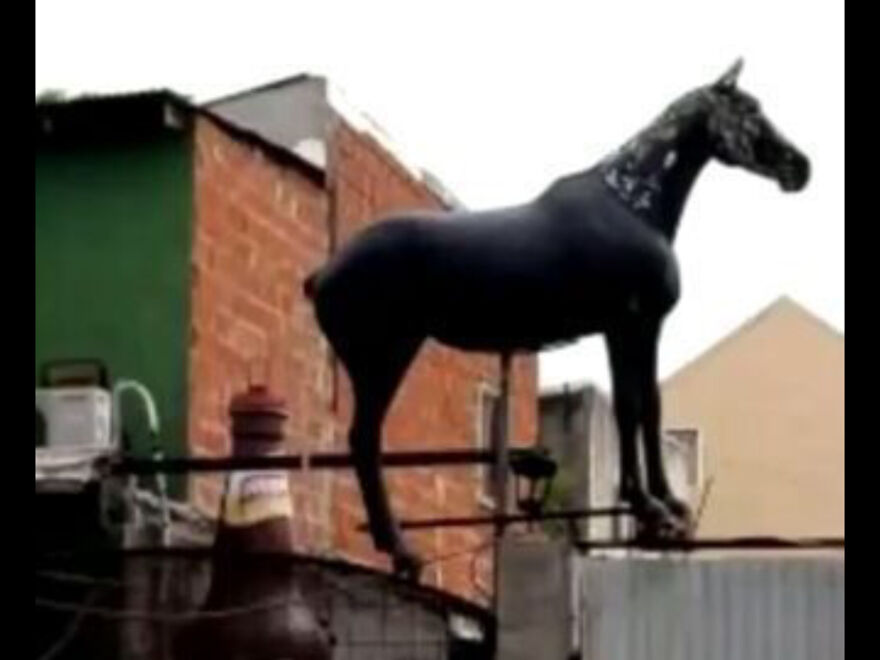 I Found 24 Of The Funniest And Weird Cursed Images