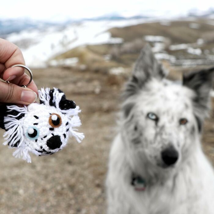 I Turn People's Dogs Into Smaller Crocheted Versions Of Them