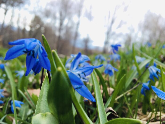 Spring In Vermont