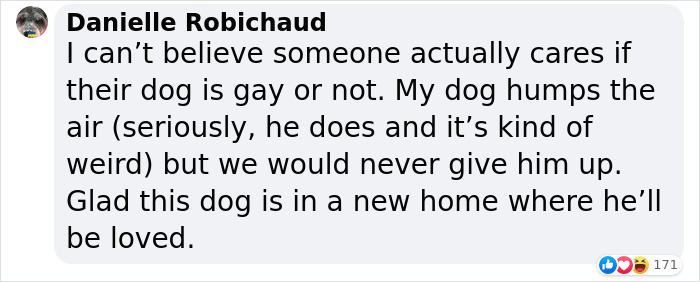 Homophobic Owner Abandons ‘Gay’ Puppy Who Later Gets Taken In By Gay Couple
