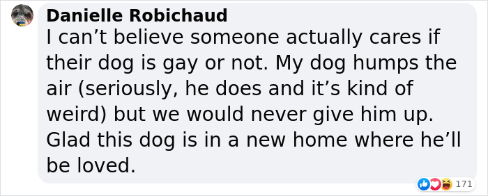 Homophobic Owner Abandons ‘Gay’ Puppy Who Later Gets Taken In By Gay Couple Homophobic Owner Abandons ‘Gay’ Puppy Who Later Gets Taken In By Gay Couple