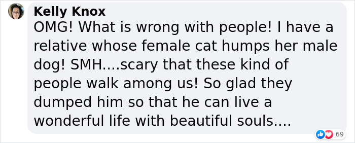 Homophobic Owner Abandons ‘Gay’ Puppy Who Later Gets Taken In By Gay Couple Homophobic Owner Abandons ‘Gay’ Puppy Who Later Gets Taken In By Gay Couple