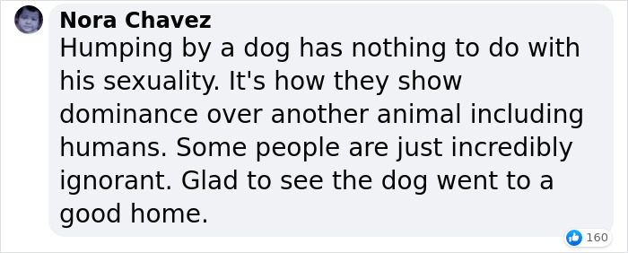 Homophobic Owner Abandons ‘Gay’ Puppy Who Later Gets Taken In By Gay Couple Homophobic Owner Abandons ‘Gay’ Puppy Who Later Gets Taken In By Gay Couple