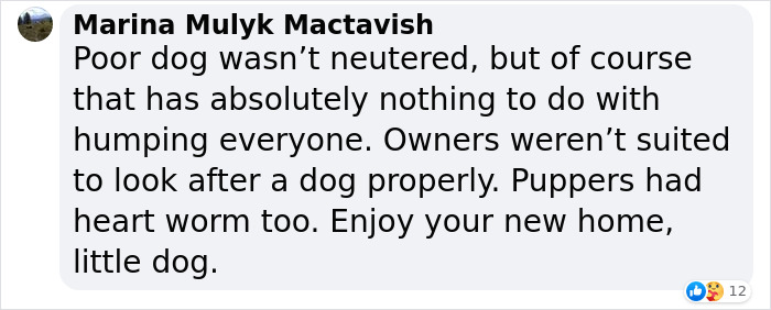 Homophobic Owner Abandons ‘Gay’ Puppy Who Later Gets Taken In By Gay Couple Homophobic Owner Abandons ‘Gay’ Puppy Who Later Gets Taken In By Gay Couple