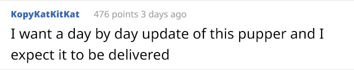 Puppy Rescued By Ukrainian Soldiers Becomes A Trusty Watchdog Puppy Rescued By Ukrainian Soldiers Becomes A Trusty Watchdog