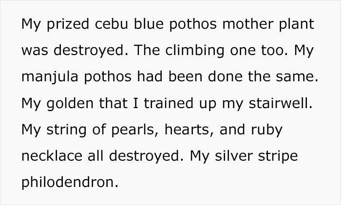 Woman Refuses To See Her Niece And Sister-In-Law After They Trim Her Houseplants And Sell The Cuttings On Marketplace Woman Refuses To See Her Niece And Sister-In-Law After They Trim Her Houseplants And Sell The Cuttings On Marketplace