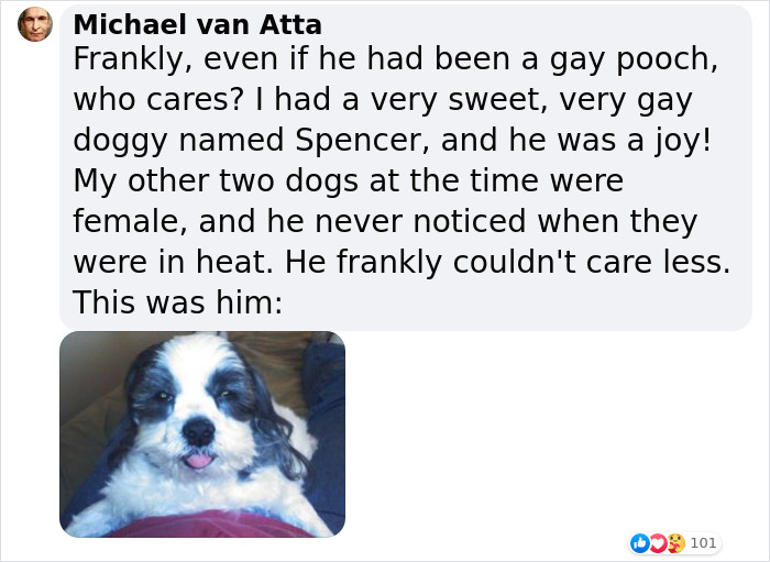 Homophobic Owner Abandons ‘Gay’ Puppy Who Later Gets Taken In By Gay Couple Homophobic Owner Abandons ‘Gay’ Puppy Who Later Gets Taken In By Gay Couple