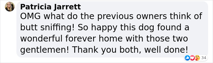 Homophobic Owner Abandons ‘Gay’ Puppy Who Later Gets Taken In By Gay Couple Homophobic Owner Abandons ‘Gay’ Puppy Who Later Gets Taken In By Gay Couple