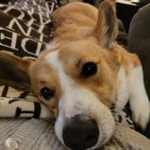 jenae33pierce avatar