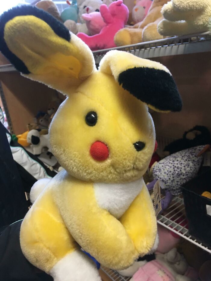A “Bunny” We Found At The Thrift Store