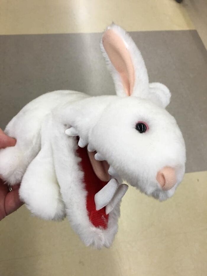 This Toy Rabbit