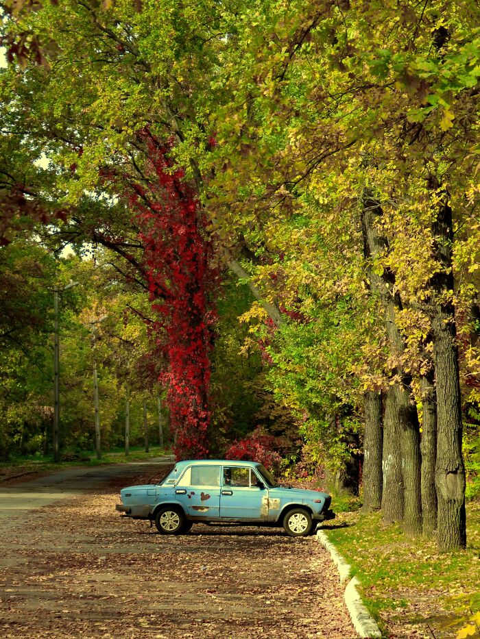 Autumn In Ukraine