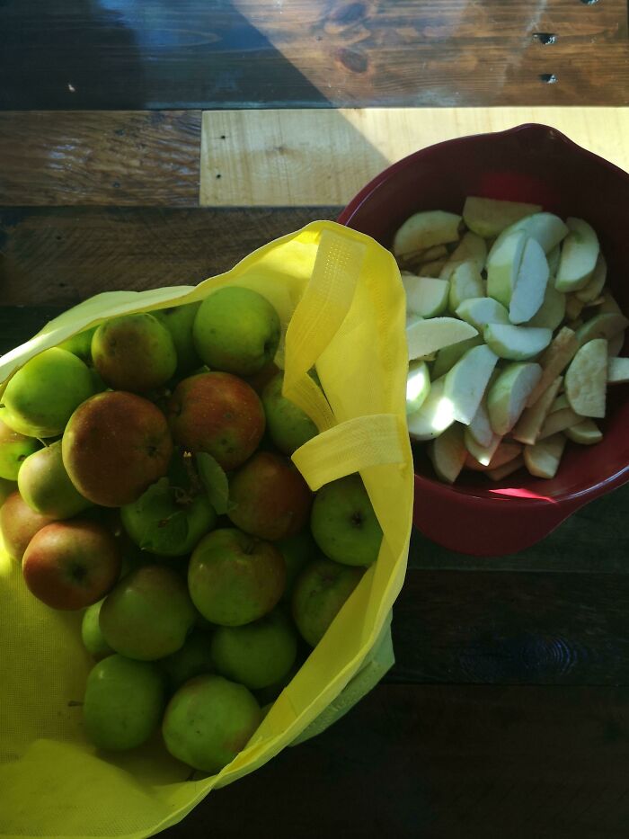 Consejo de otoño - Mucha gente con manzanos no las cosecha; ¡nunca está de más preguntar!