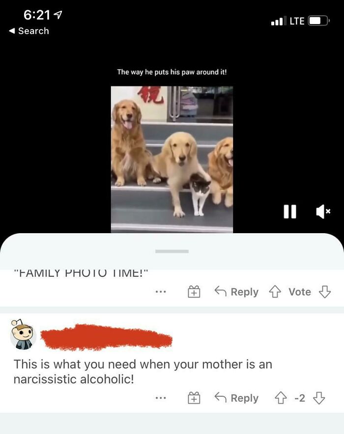This Comment On A Cute Post 