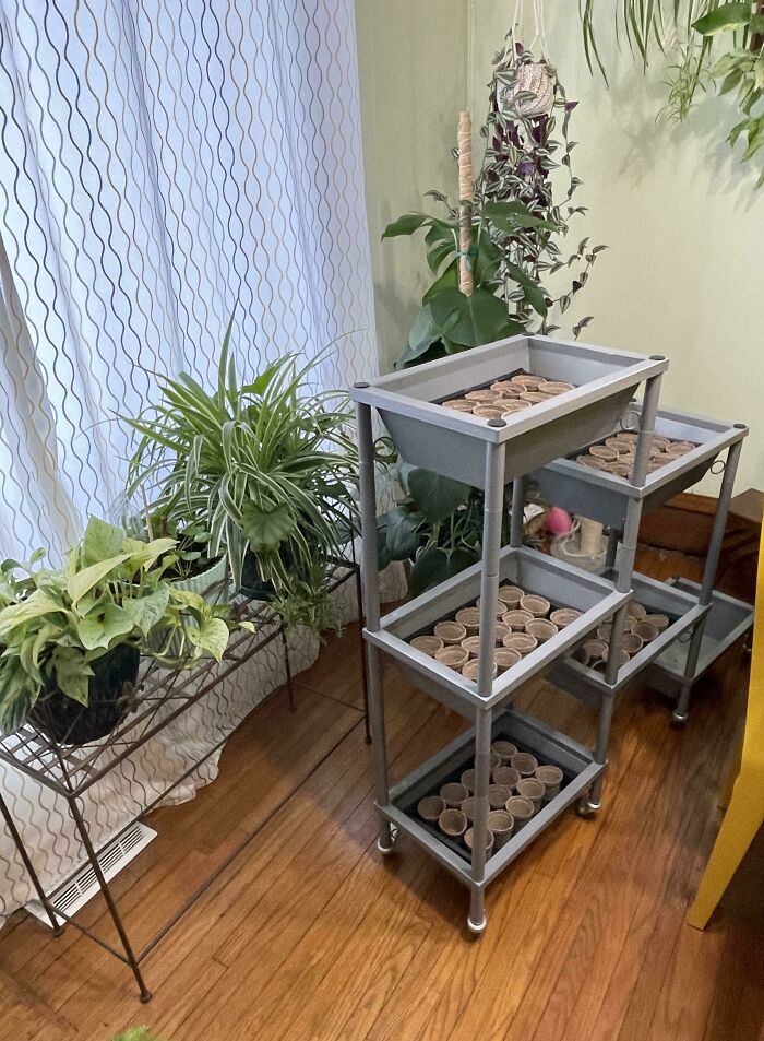 Setting Up My Frugal Seed Station!