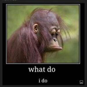 noahcarter200621 avatar