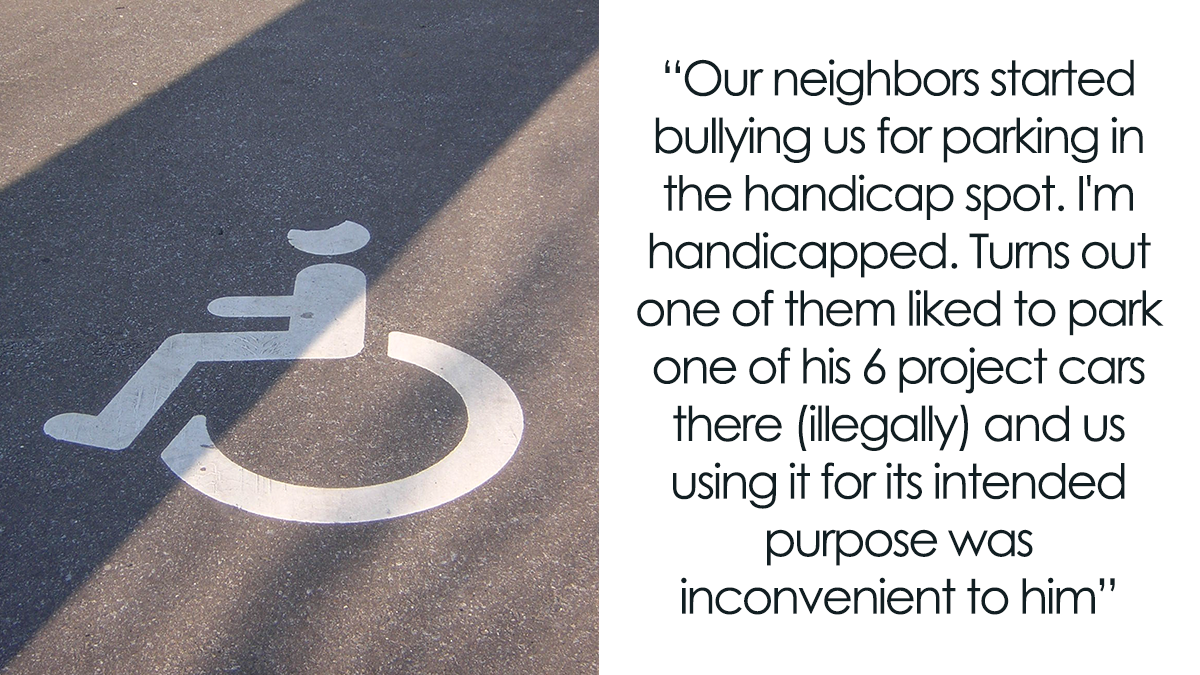 Person Watches Bully Neighbors Get Sweet Revenge, Discovers It’s Done By The Crows They Befriended Earlier