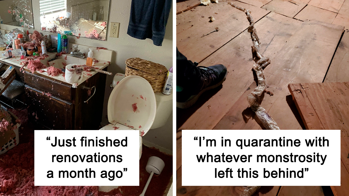 “Well, That Sucks”: 30 Times Really Unfortunate Things Happened To People’s Homes (New Pics)